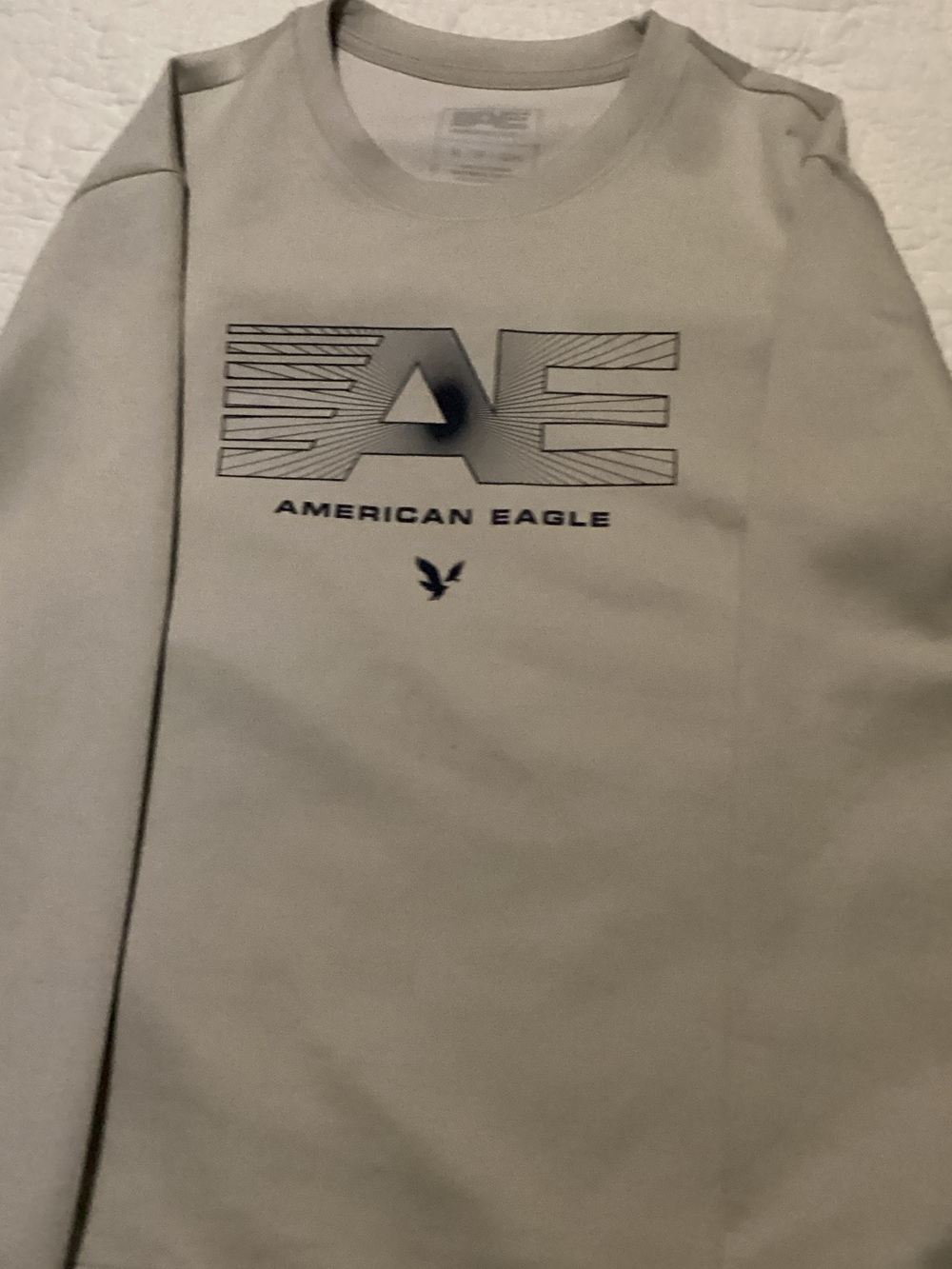 American Eagle Outfitters Light Gray Logo Sweatshirt